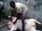 am d busher