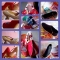 make ur choice