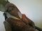 chilling