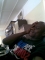shellah