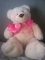teddy