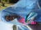 masef