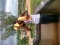 was bored so i had 2 help myself.ma skul hostel...