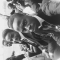 Dope...