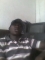 IT'S JST ME