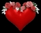 FAITH4SURE