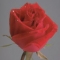 all ways happy