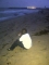 seaside