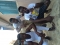 Amexify