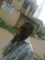 ''GET RICH OR DIE TRYING'COS AM LIVING MY OWN LIFE''