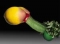 u never c this cock