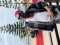 DIKACHI KING DIKACHI 