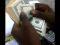 MY CASH