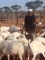 Farming is lucrative