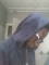 Chocprinc in d building