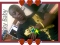Swag