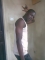 Akinyemi