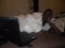 in bed surfing the net