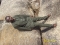 Top of Olumo Rock!!!!!