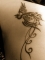 phenix