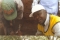 Bye to polio THANKS to rotary