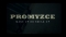 Promyzce 