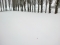 snow full grand