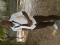 in school
