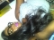 sweet