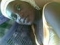 beejay