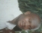God is Great