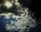 theMOnkey, i stole your pic! am sorry..luv it