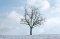 its like winter in ma heart