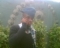 diplect fame