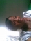 Lovely, isn'y she?