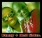 Danny And Sister.. 