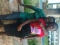 my dream gal
