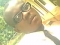good dom