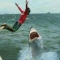 Som1 plz get diz shark bro a toothpick!