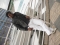 my pix