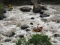 River Rapids