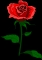 love is good