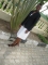 abarron