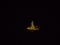 Gy