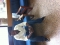 Chriato