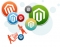 Professional  Magento Developer Company