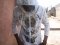 tbobo_dey