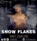 Snowflakes 