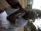 agbako