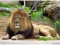 If u don't stand 4 something now, you will fall 4 everything (SIR EMMY)